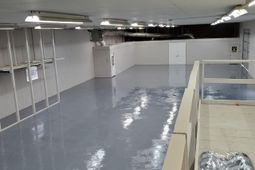 818 Williams Street photo 4