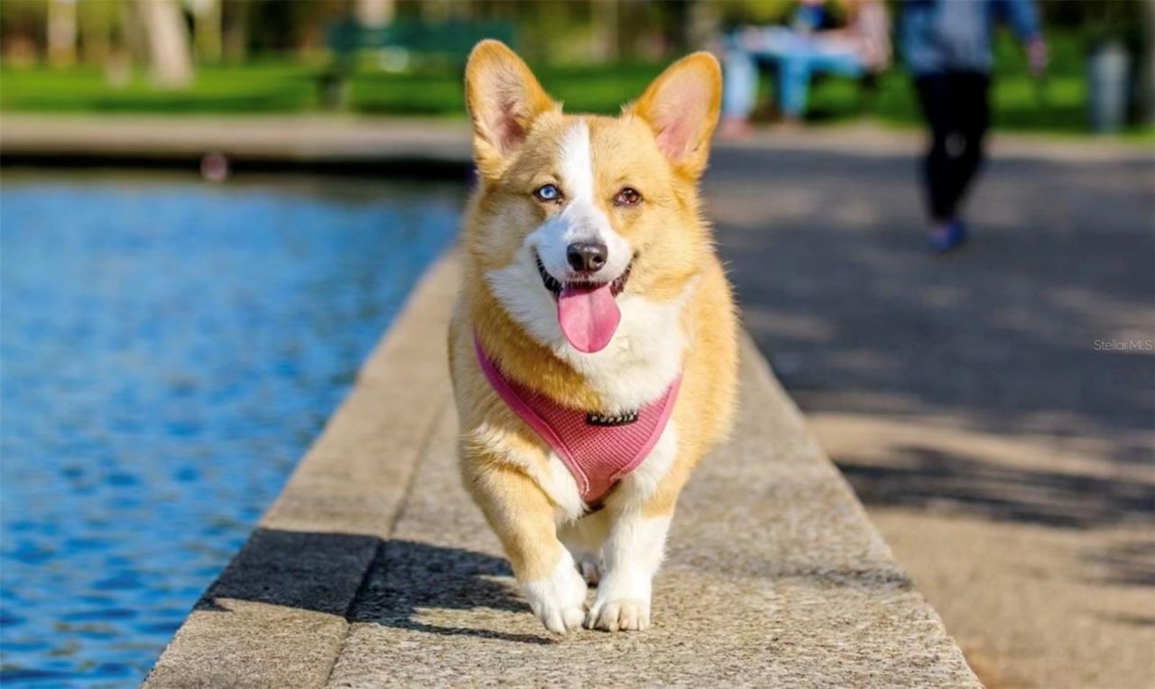 600 3rd Avenue S, Unit 201, Saint Petersburg, FL 33701 Photo