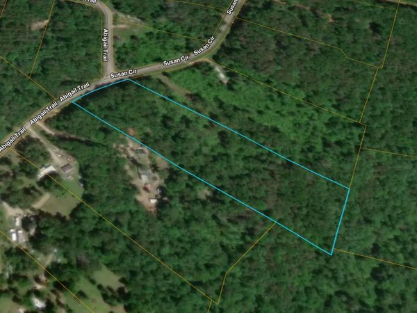 312 Abigail Trail, Deer Lodge, TN 37726