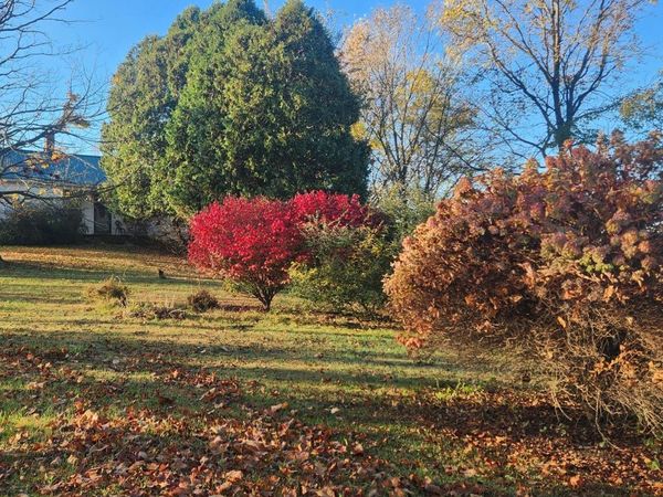 4789 Nichols Road, Mason, MI 48854