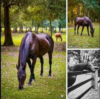 5373 5th Fairway Drive Photo 46