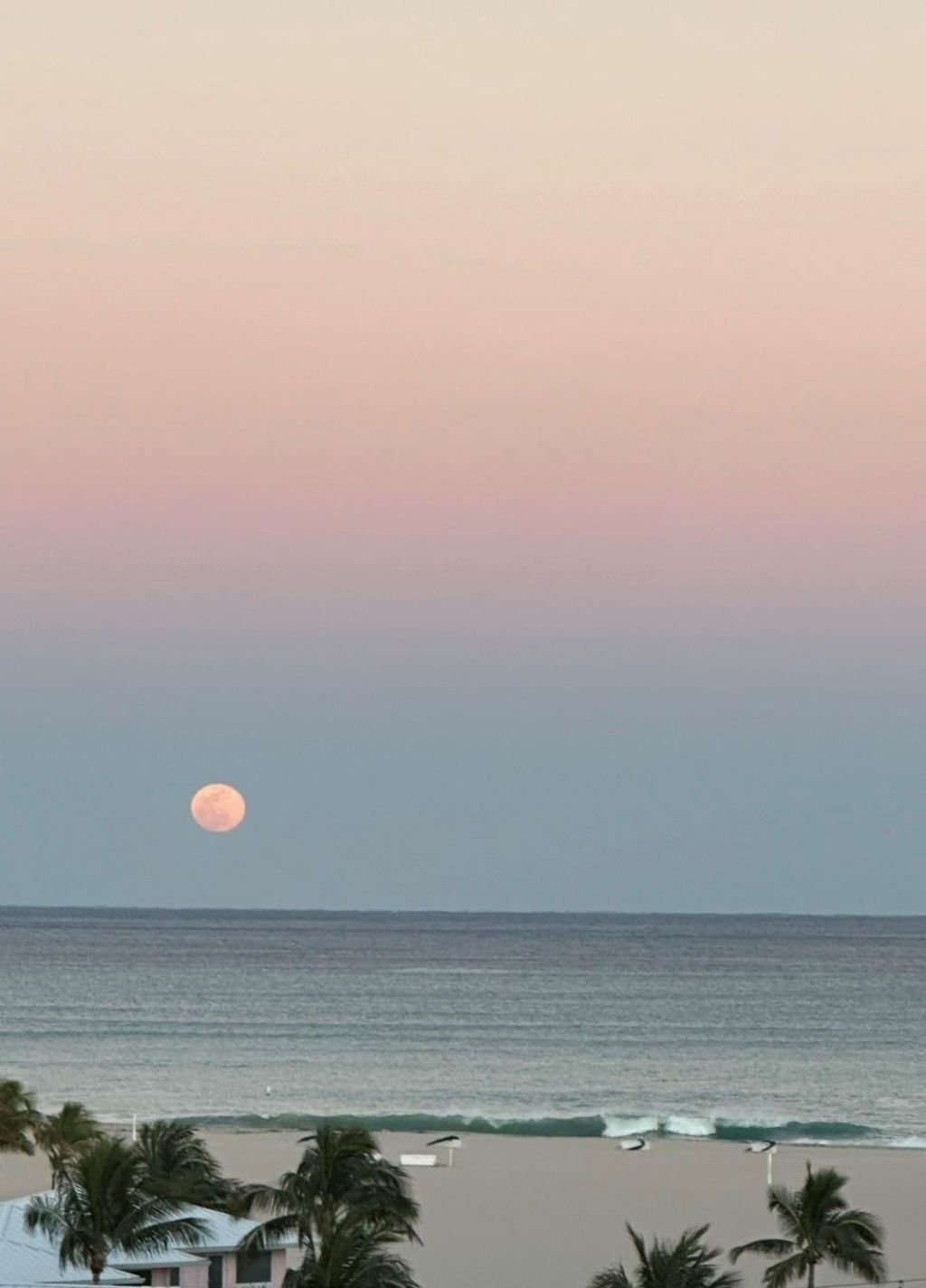 1900 S Ocean Drive, Unit 712, Fort Lauderdale, FL 33316 Photo