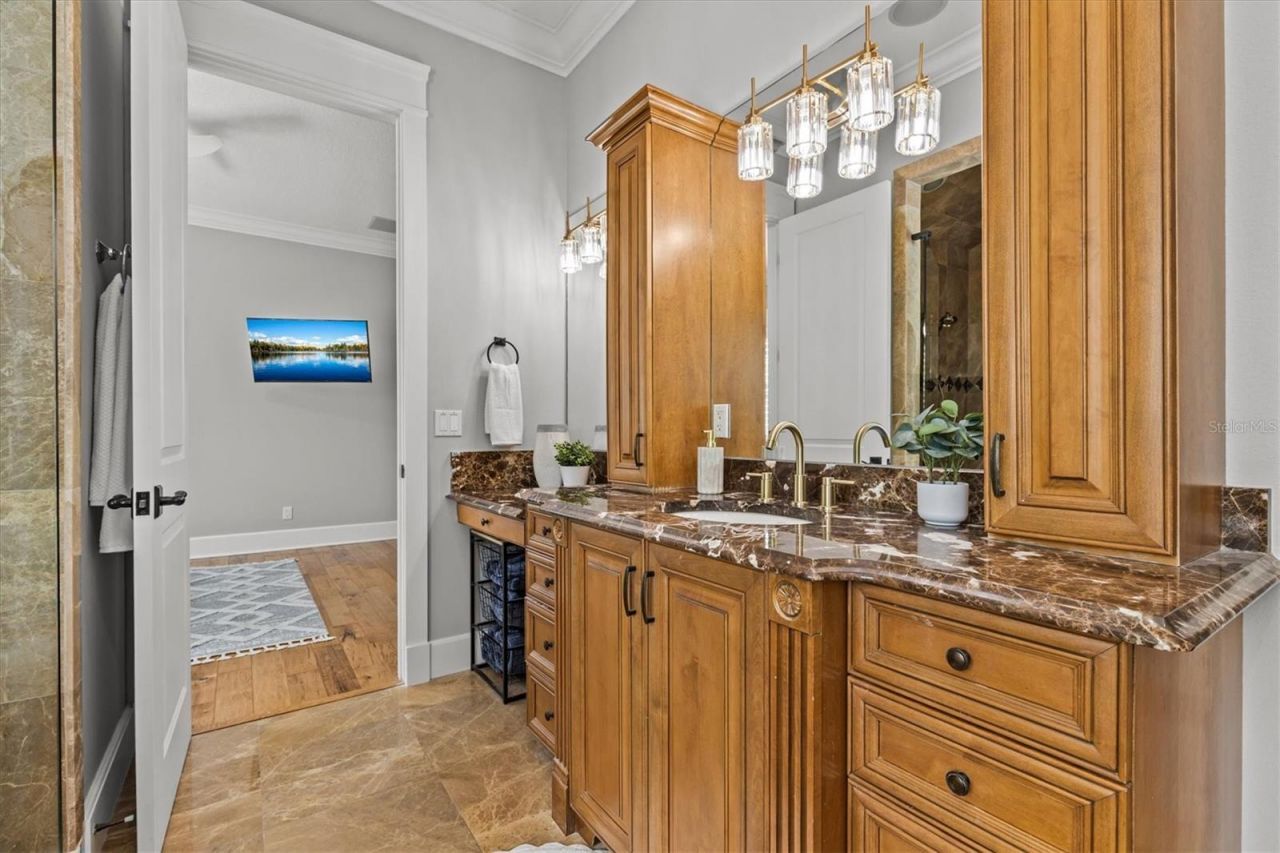 1859 Fish Hatchery Court, Palm Harbor, FL 34684 Photo