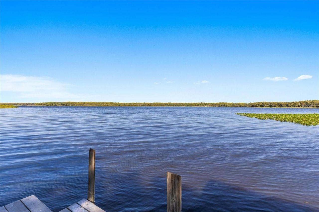 1859 Fish Hatchery Court, Palm Harbor, FL 34684 Photo