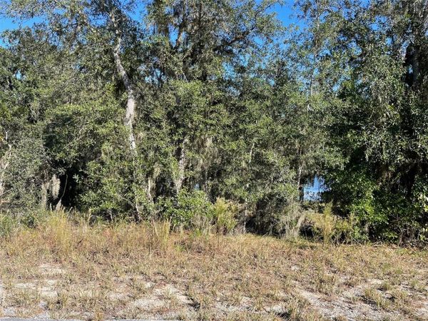 LOTS 444, 445 SW SHOREWOOD DRIVE, DUNNELLON, FL 34431