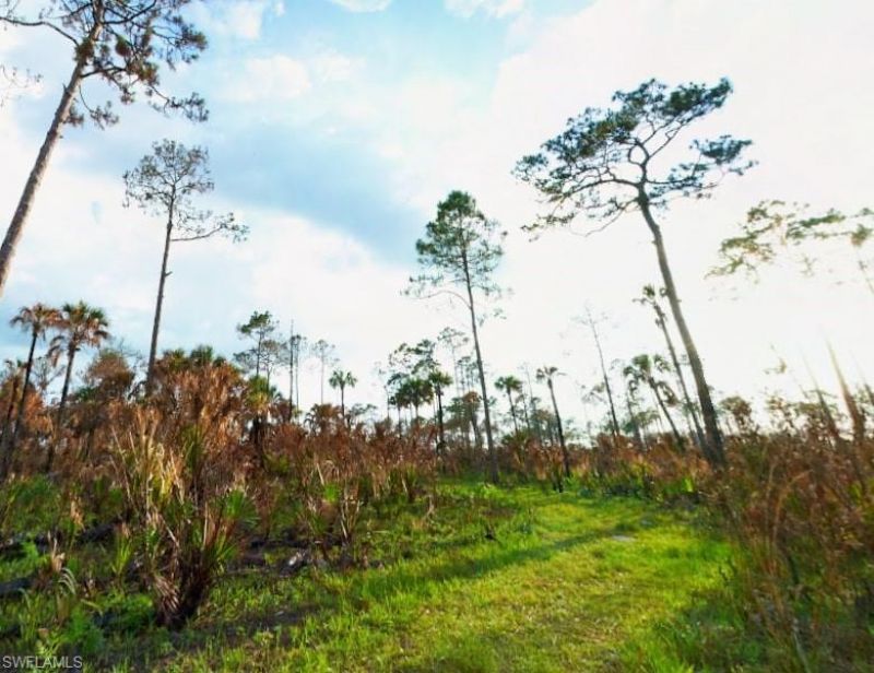 Please Call For Address, Immokalee, FL 34142 Photo