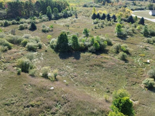 Lots 2 & 3 Fox Lane, Benzonia, MI 49616