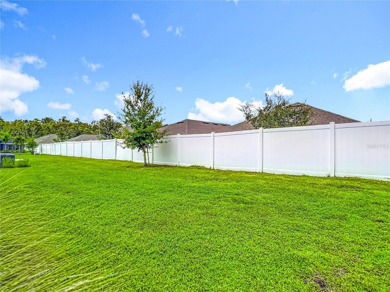 14917 Tropical Violet Way, Wimauma, FL 33598 Photo