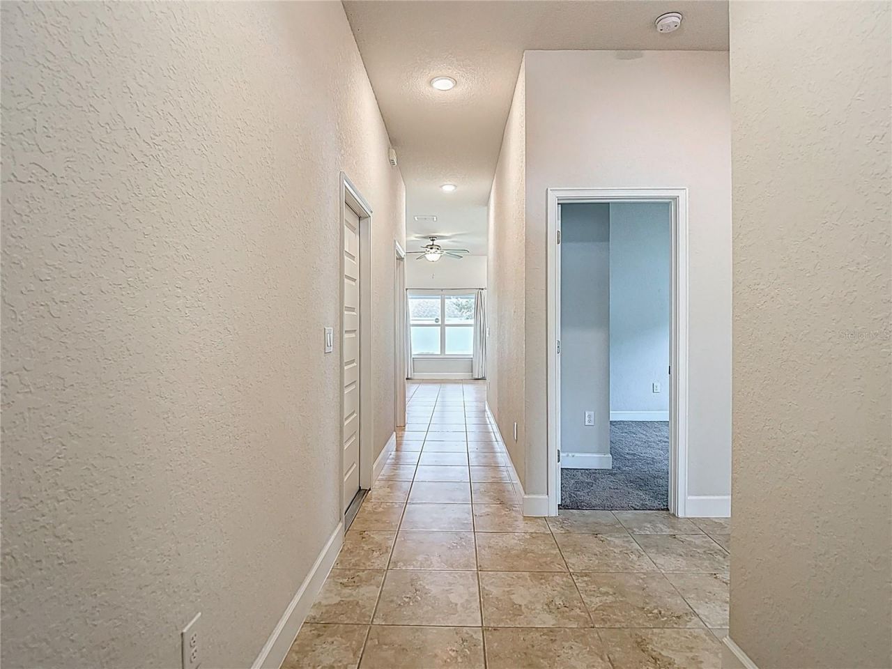 14917 Tropical Violet Way, Wimauma, FL 33598 Photo