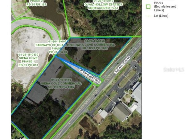 6243 OLD PASCO ROAD, WESLEY CHAPEL, FL 33544