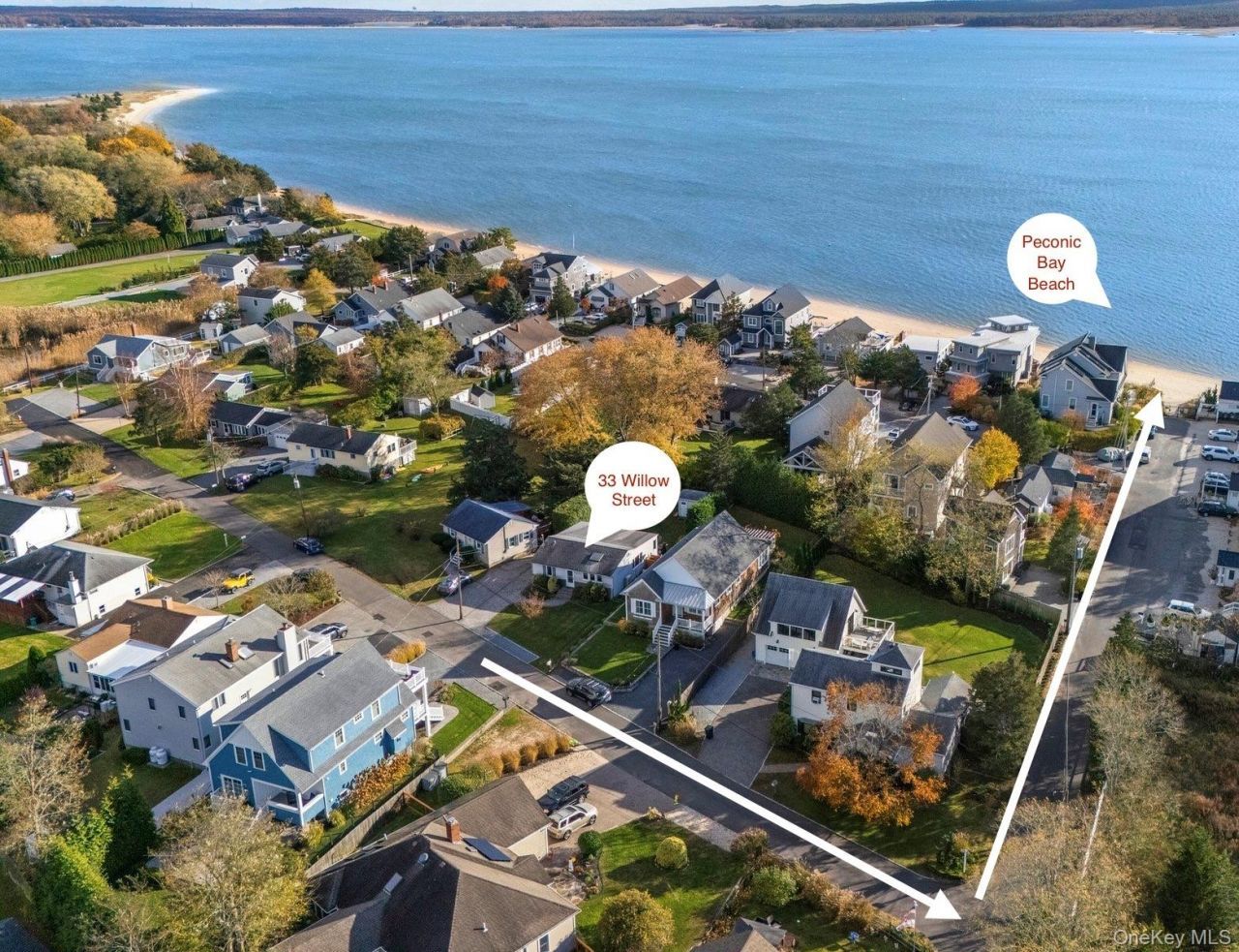 33 Willow Street, Aquebogue, NY 11931 Main Photo