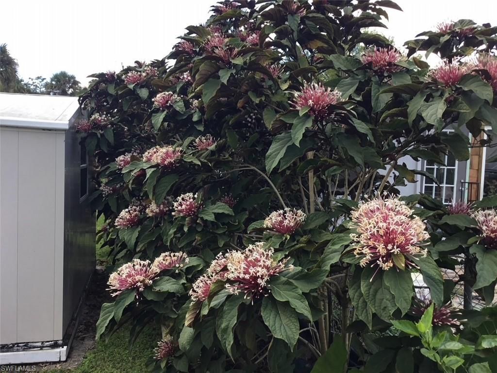 2256 Marina Park Dr, Fort Myers, FL 33905 Photo