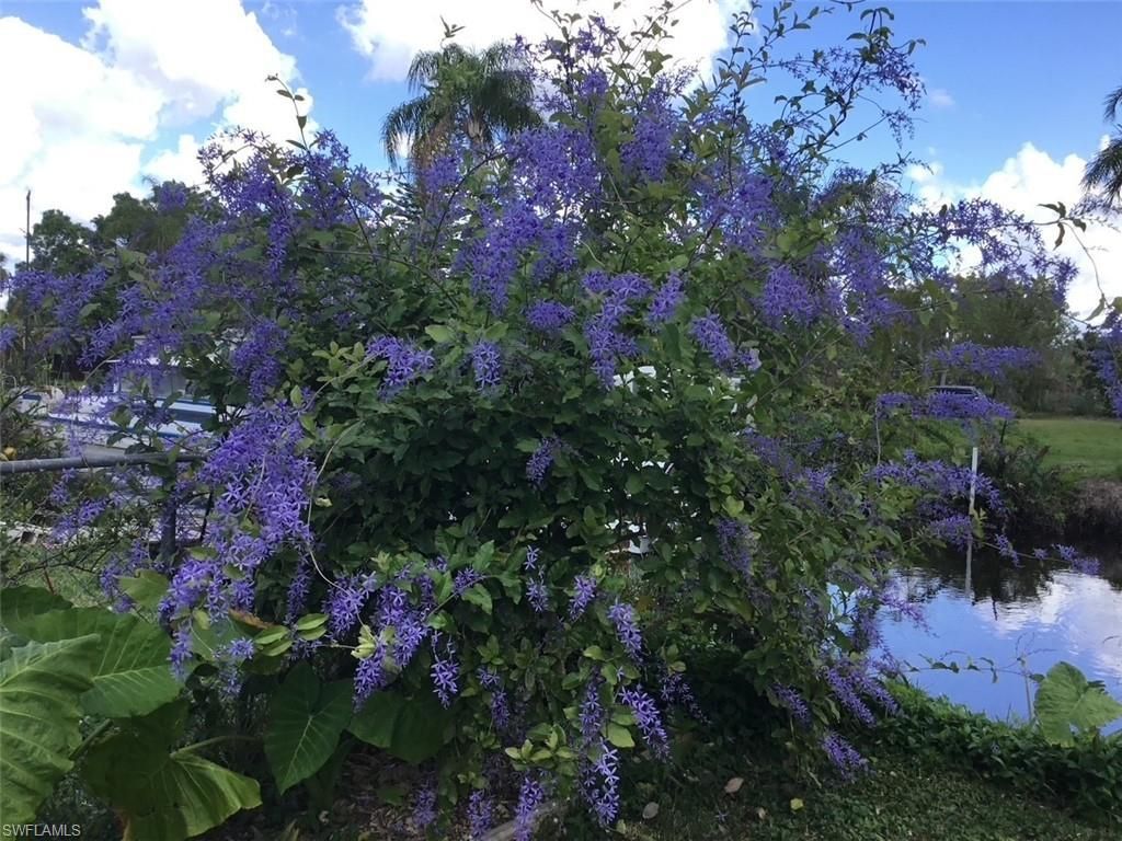 2256 Marina Park Dr, Fort Myers, FL 33905 Photo