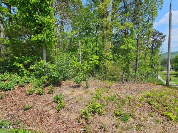 Sutherland Drive, Helenwood, TN 37755