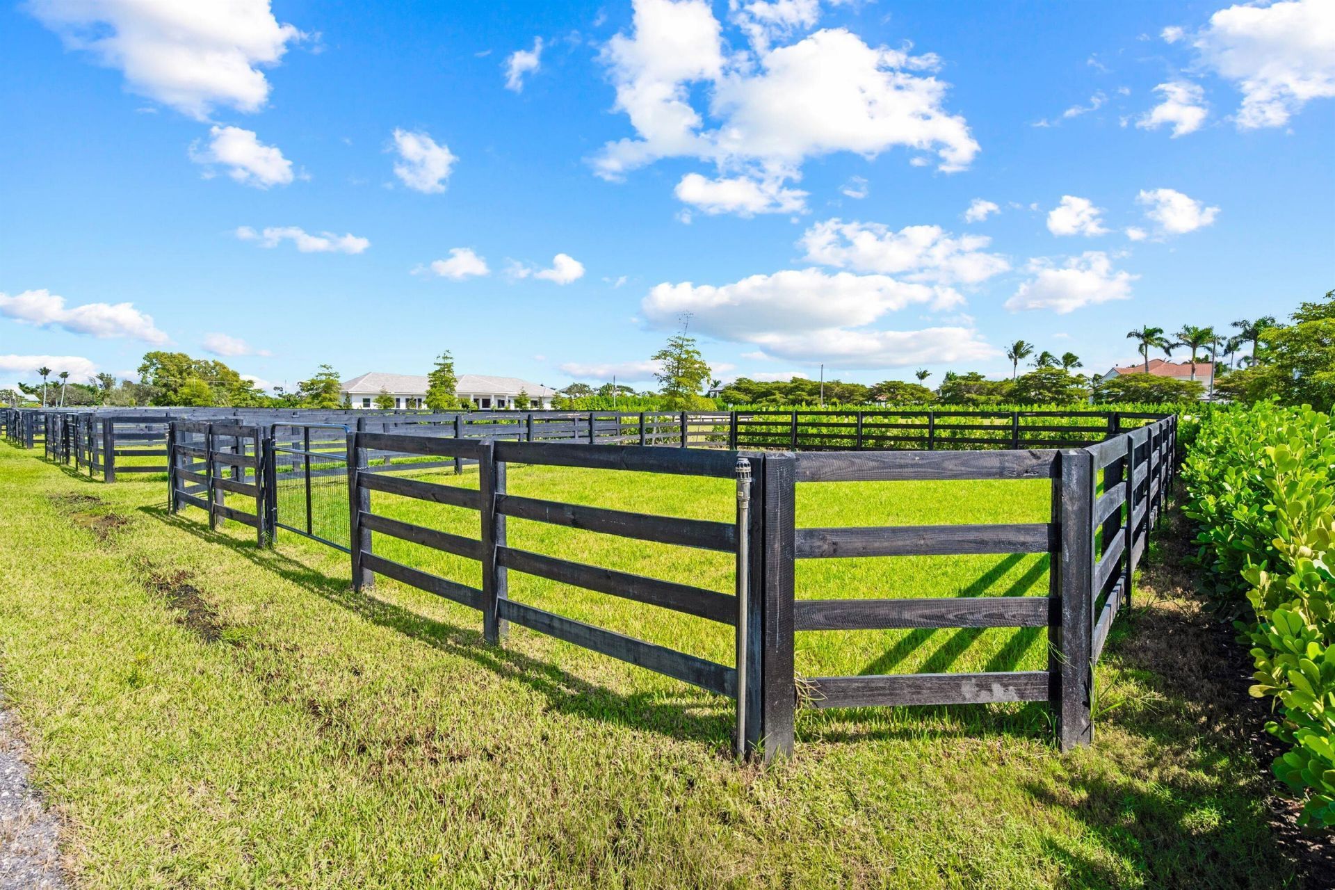 15359 Sunnyland Lane, Wellington, FL 33414 Photo