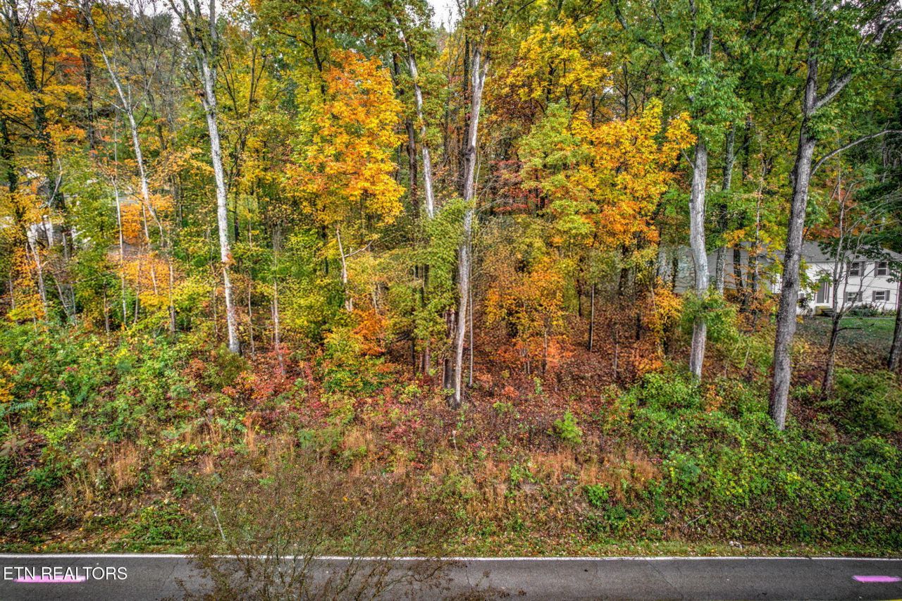 0 Grove Drive, Knoxville, TN 37918 Main Photo