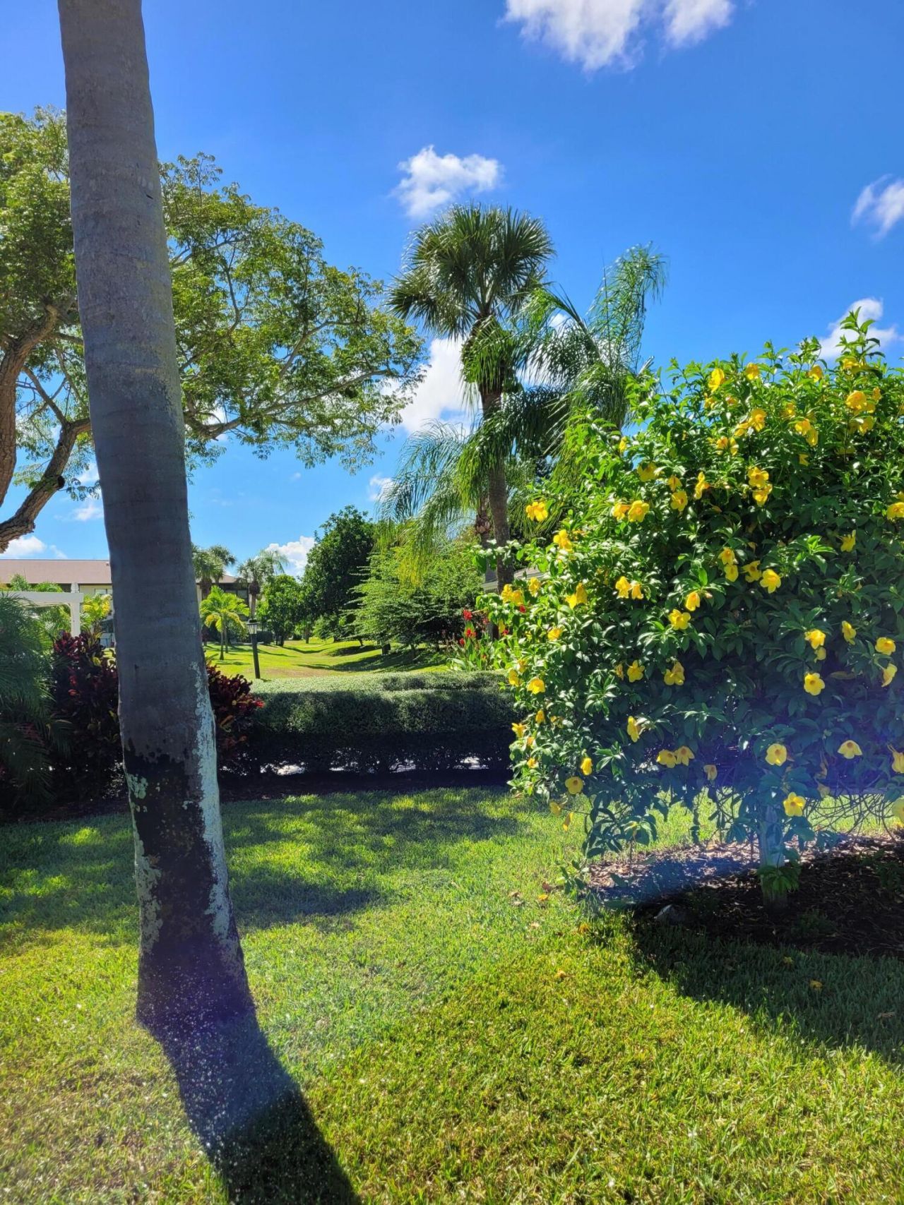 2950 SE Ocean Boulevard, Unit 134-5, Stuart, FL 34996 Photo