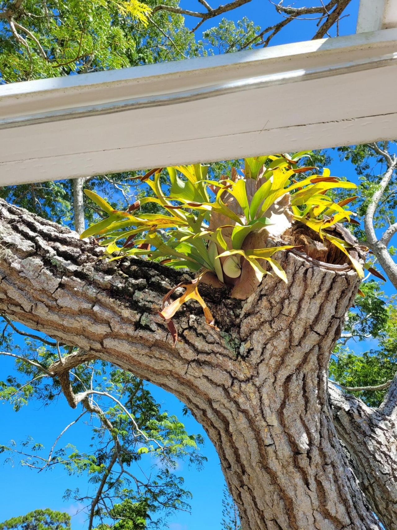 2950 SE Ocean Boulevard, Unit 134-5, Stuart, FL 34996 Photo