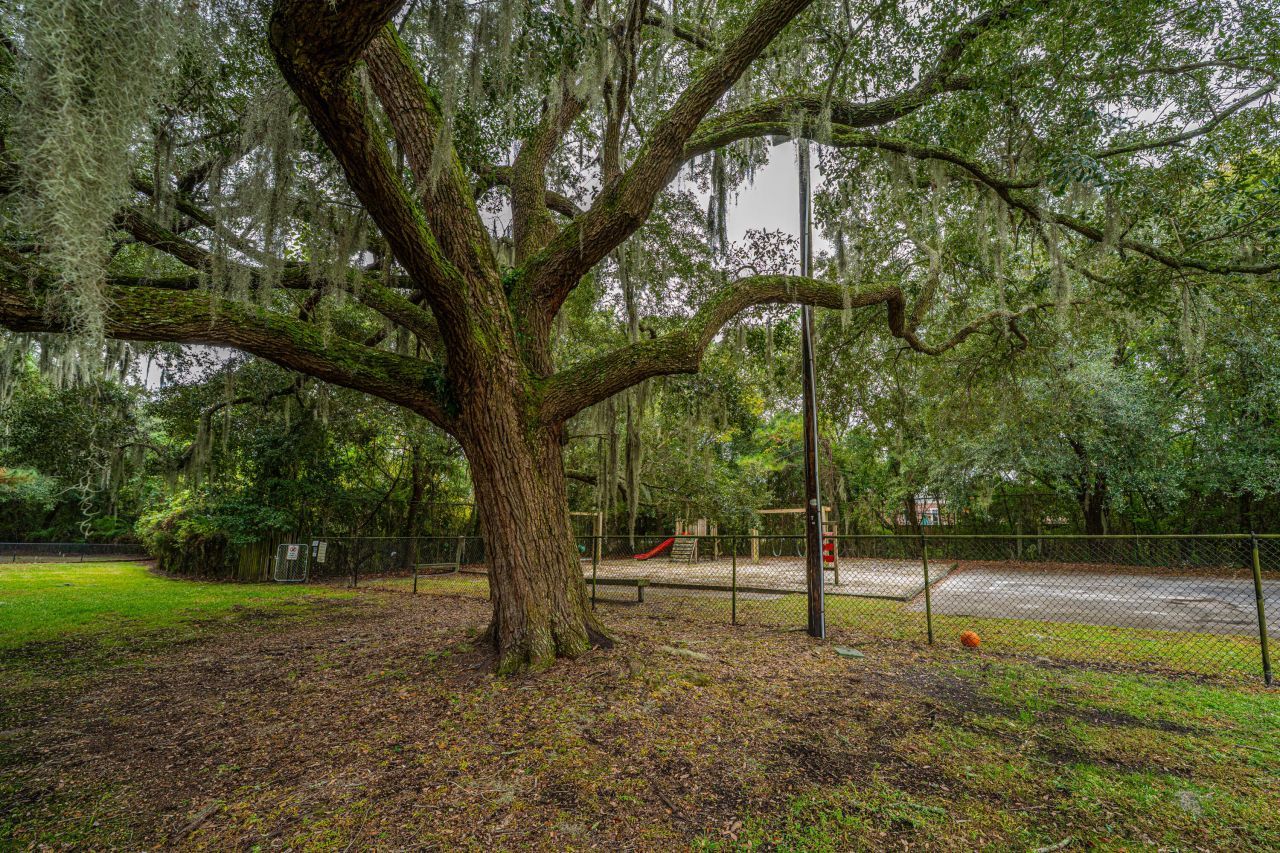 415 Parkdale Drive Photo 32