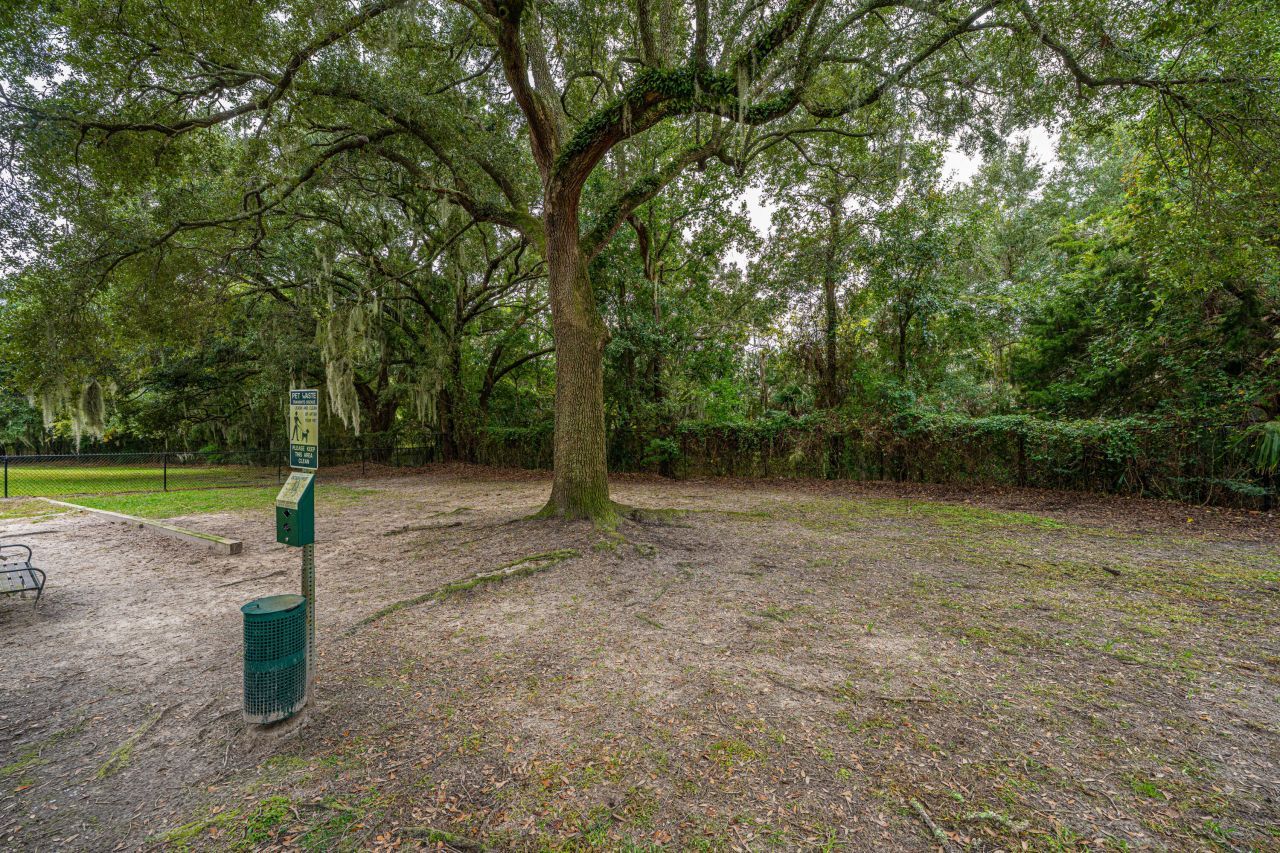 415 Parkdale Drive Photo 37