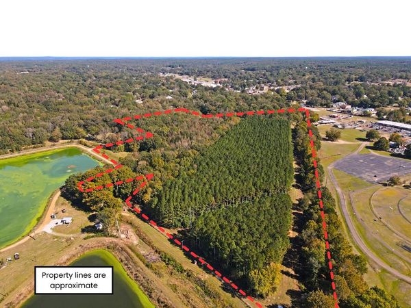 37.50 ac Sissell Street, Water Valley, MS 38965