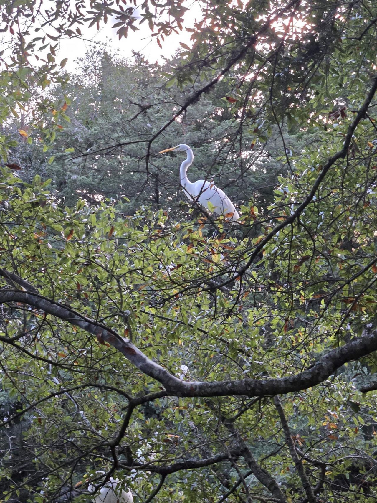 326 Tunnoch Rd. Photo 28