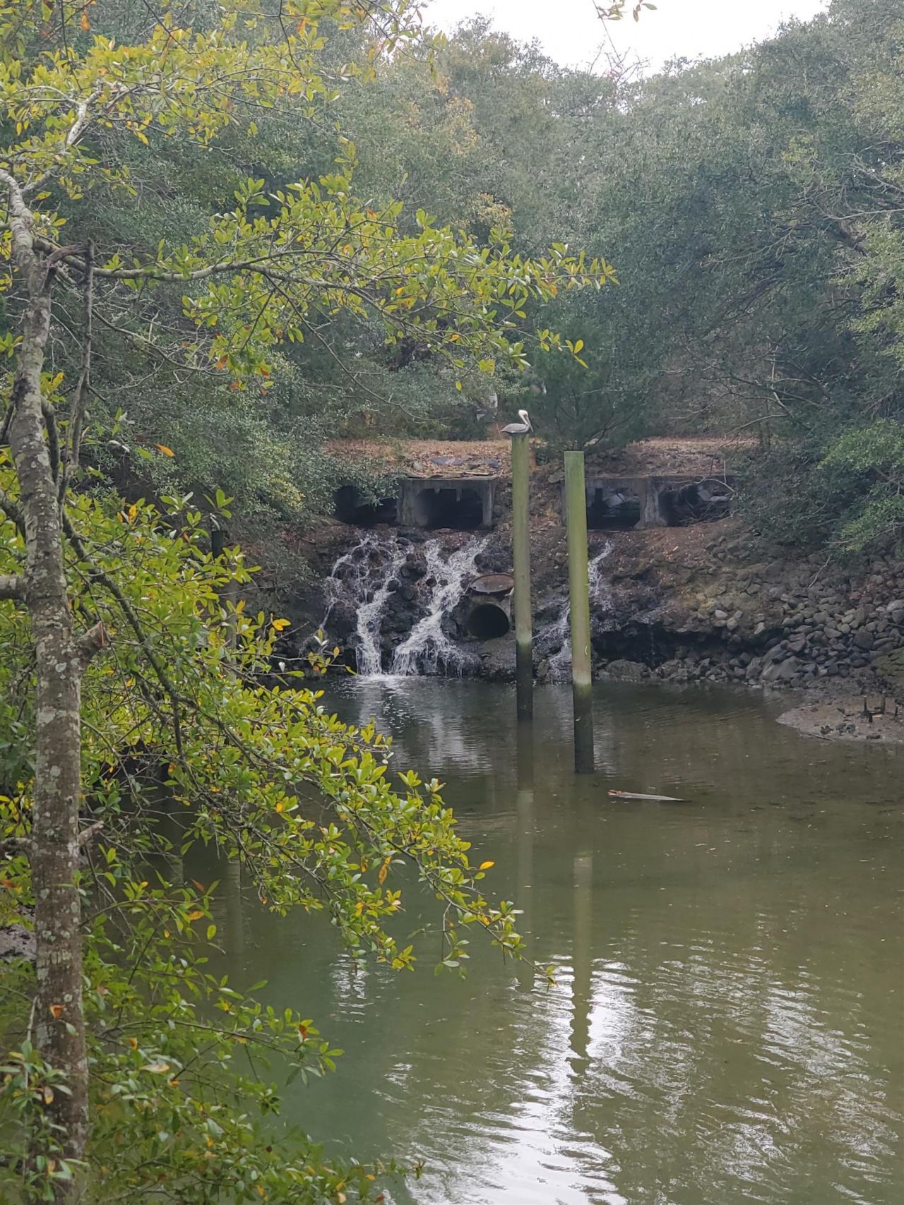 326 Tunnoch Rd. Photo 29