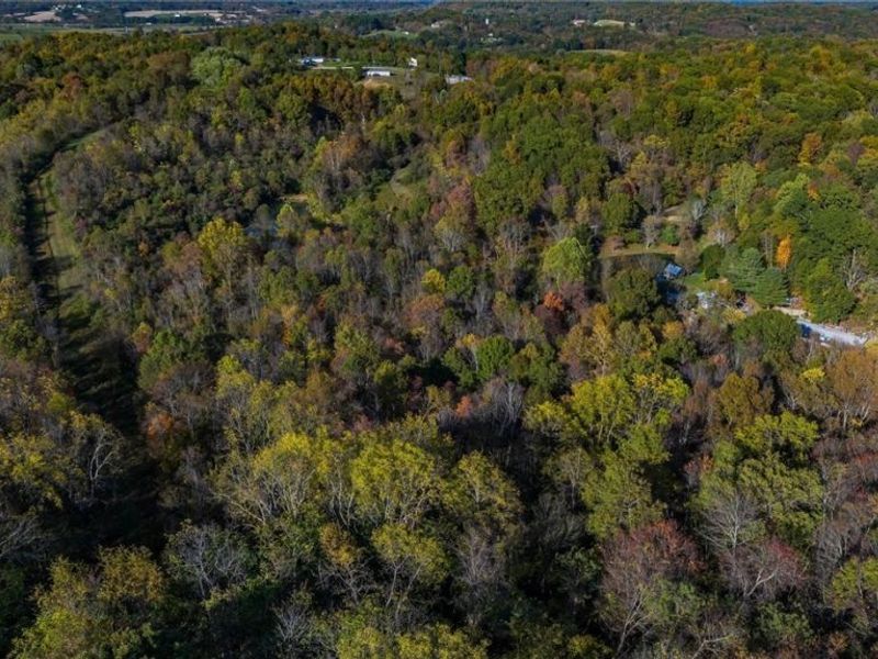 3278 Rough & Ready Road, New Concord, OH 43762 Photo 13