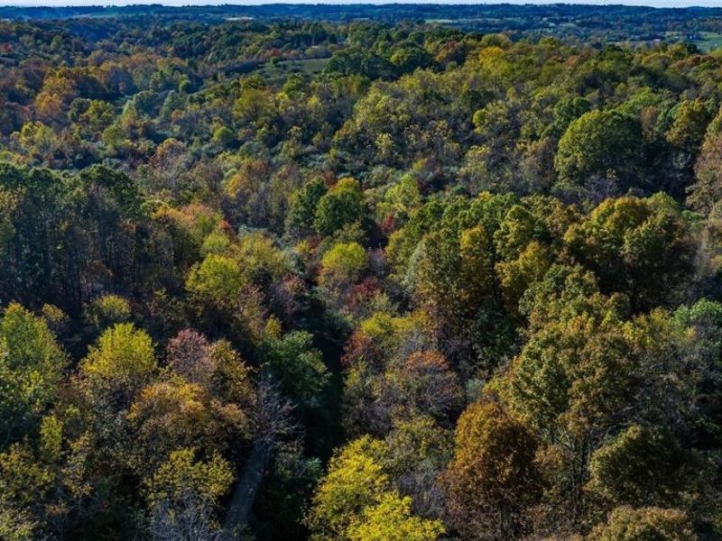 3278 Rough & Ready Road, New Concord, OH 43762 Photo 14