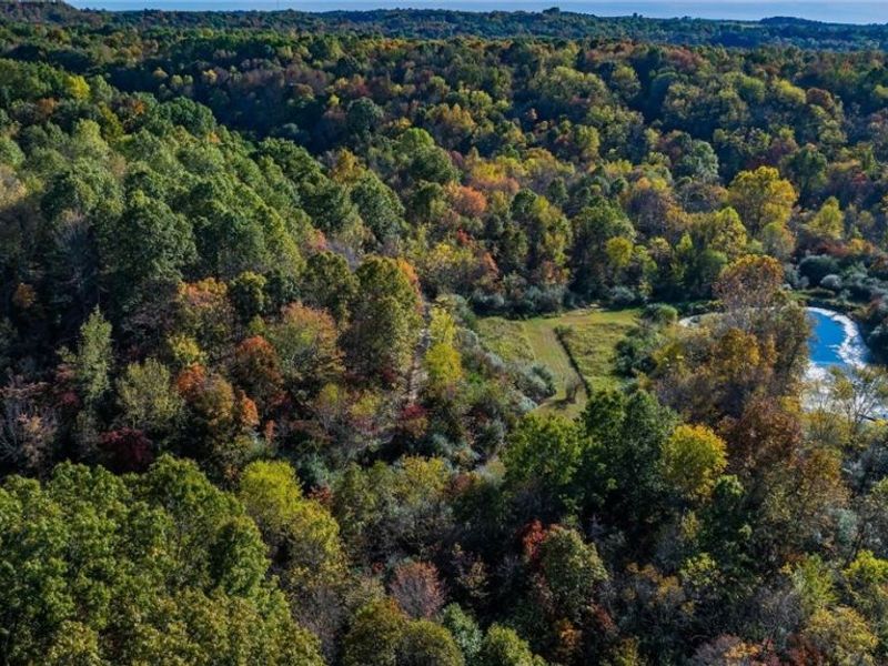 3278 Rough & Ready Road, New Concord, OH 43762 Photo 15