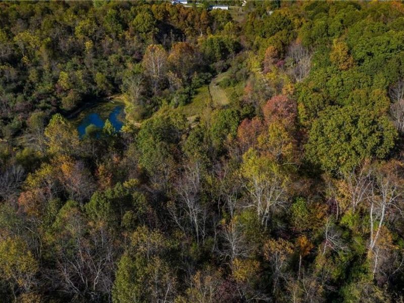 3278 Rough & Ready Road, New Concord, OH 43762 Photo 18