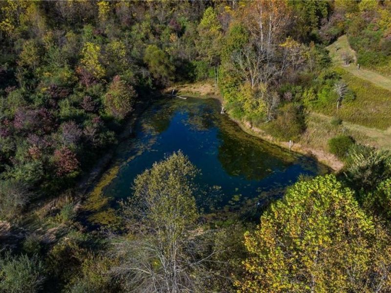3278 Rough & Ready Road, New Concord, OH 43762 Photo 22