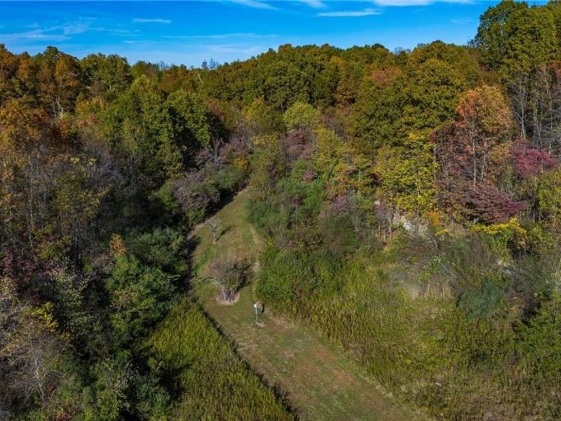 3278 Rough & Ready Road, New Concord, OH 43762 Photo 23