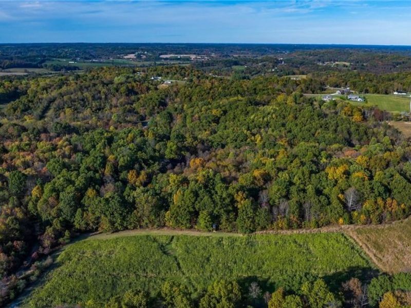 3278 Rough & Ready Road, New Concord, OH 43762 Photo 26