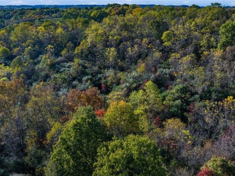 3278 Rough & Ready Road, New Concord, OH 43762 Photo 28