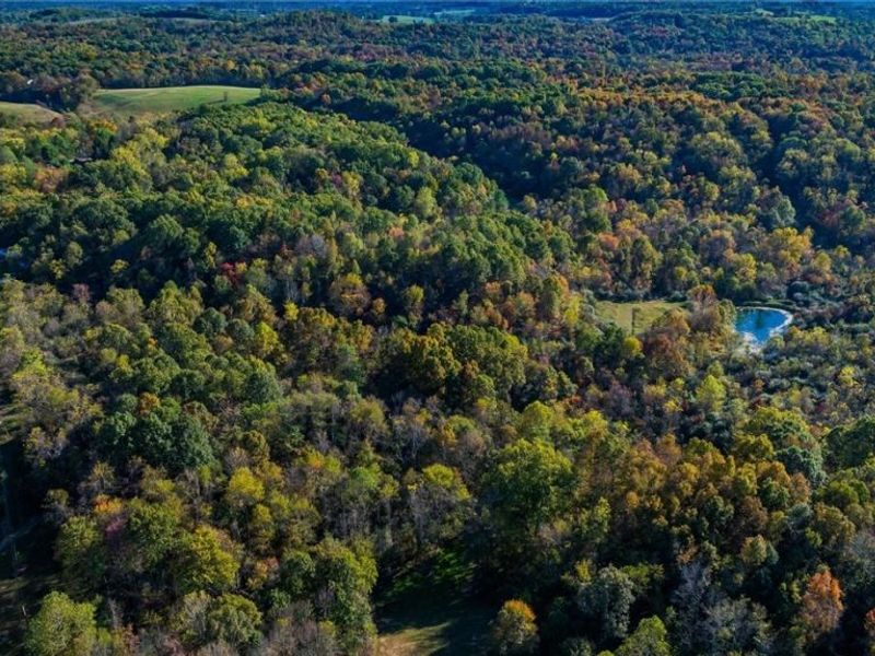 3278 Rough & Ready Road, New Concord, OH 43762 Photo 5