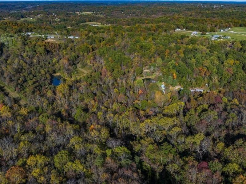 3278 Rough & Ready Road, New Concord, OH 43762 Photo 9