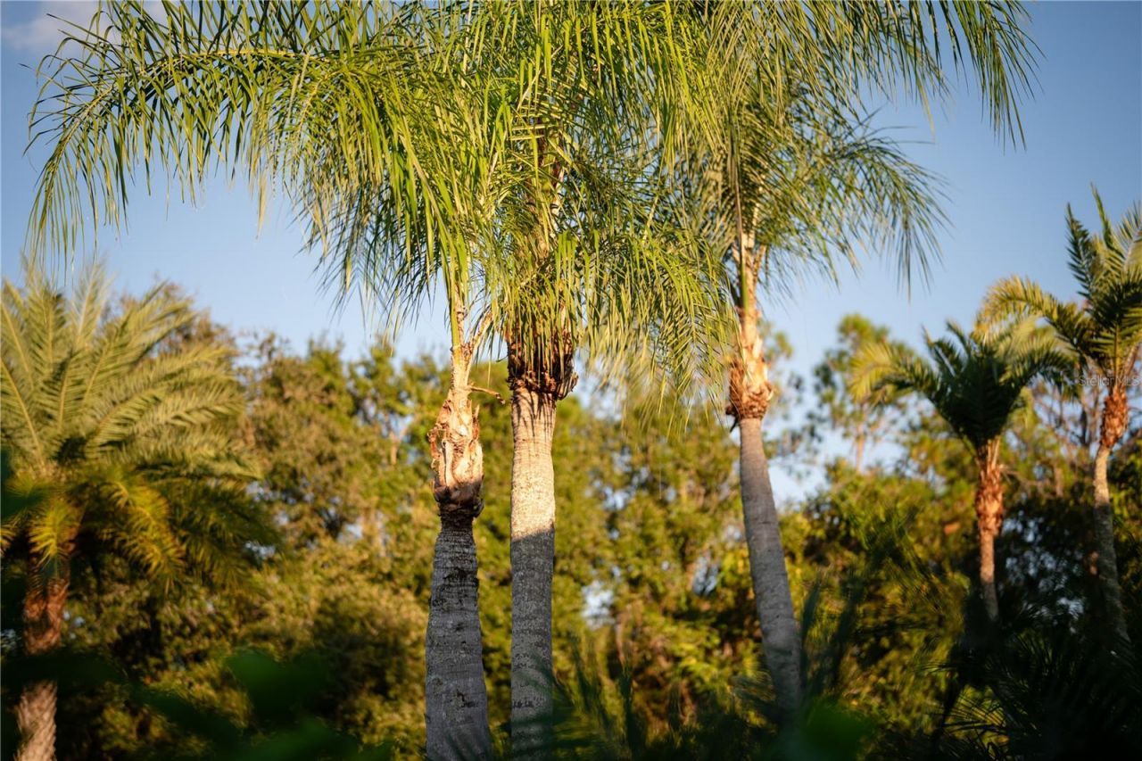 18702 69th Avenue E, Bradenton, FL 34211 Photo