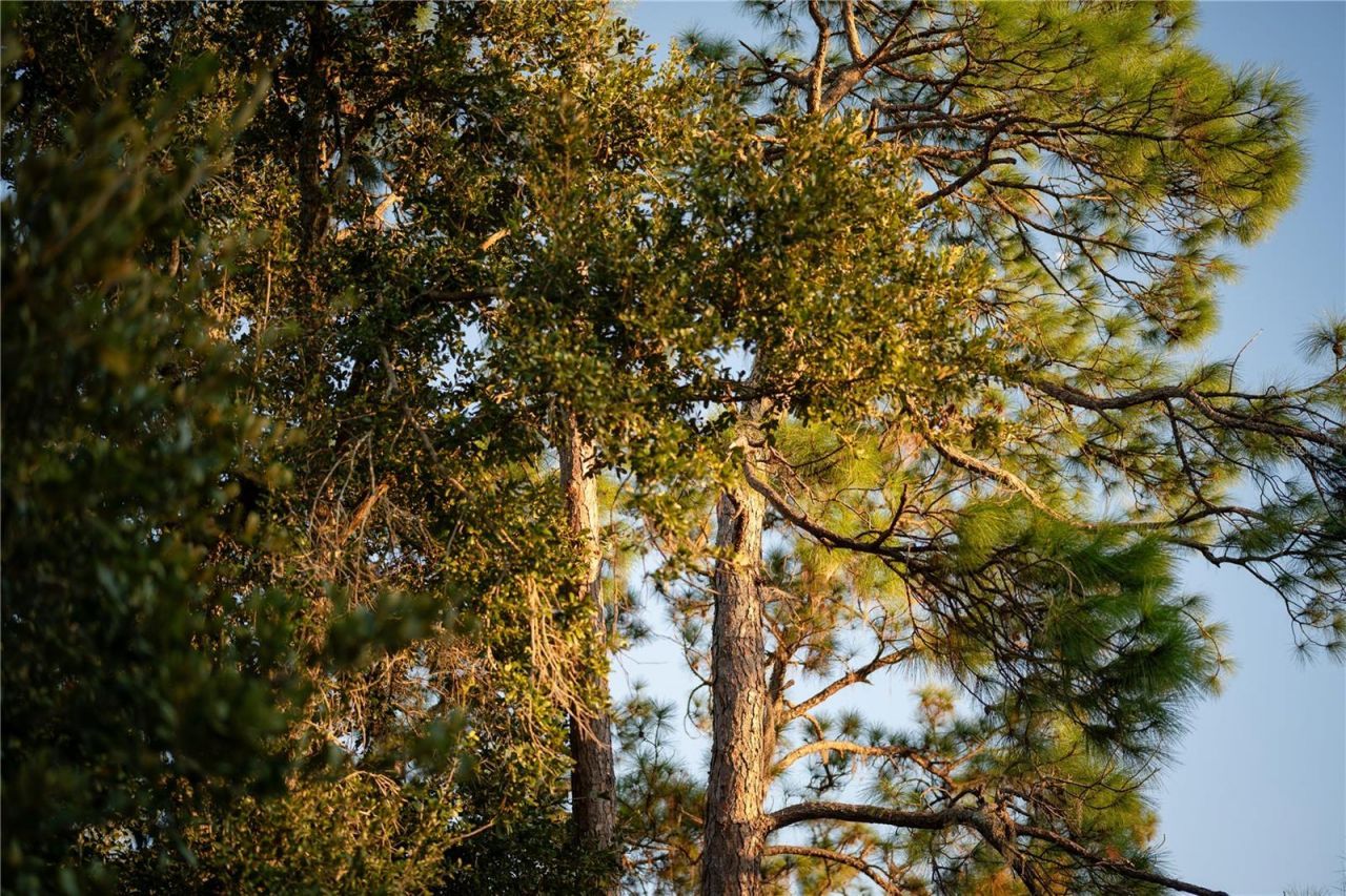 18702 69th Avenue E, Bradenton, FL 34211 Photo