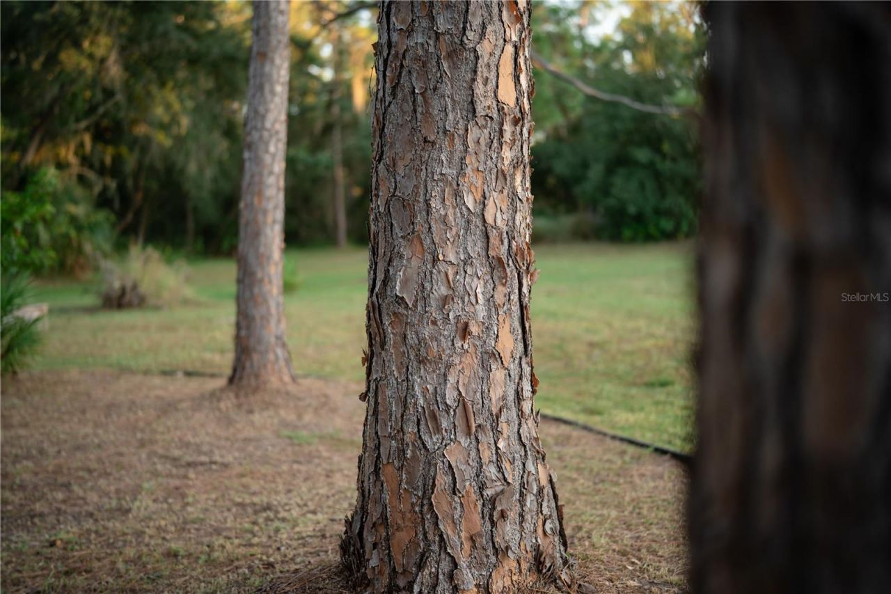 18702 69th Avenue E, Bradenton, FL 34211 Photo