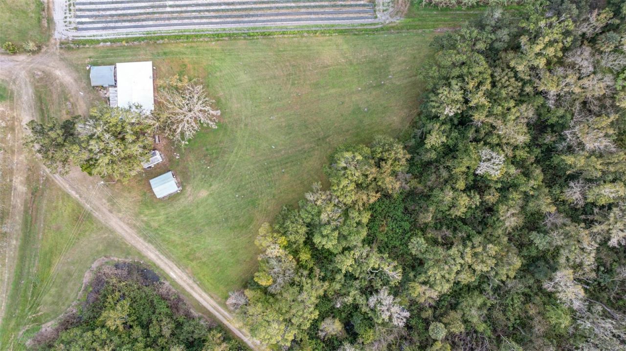 910 Bumby Lane, Wauchula, FL 33873 Photo