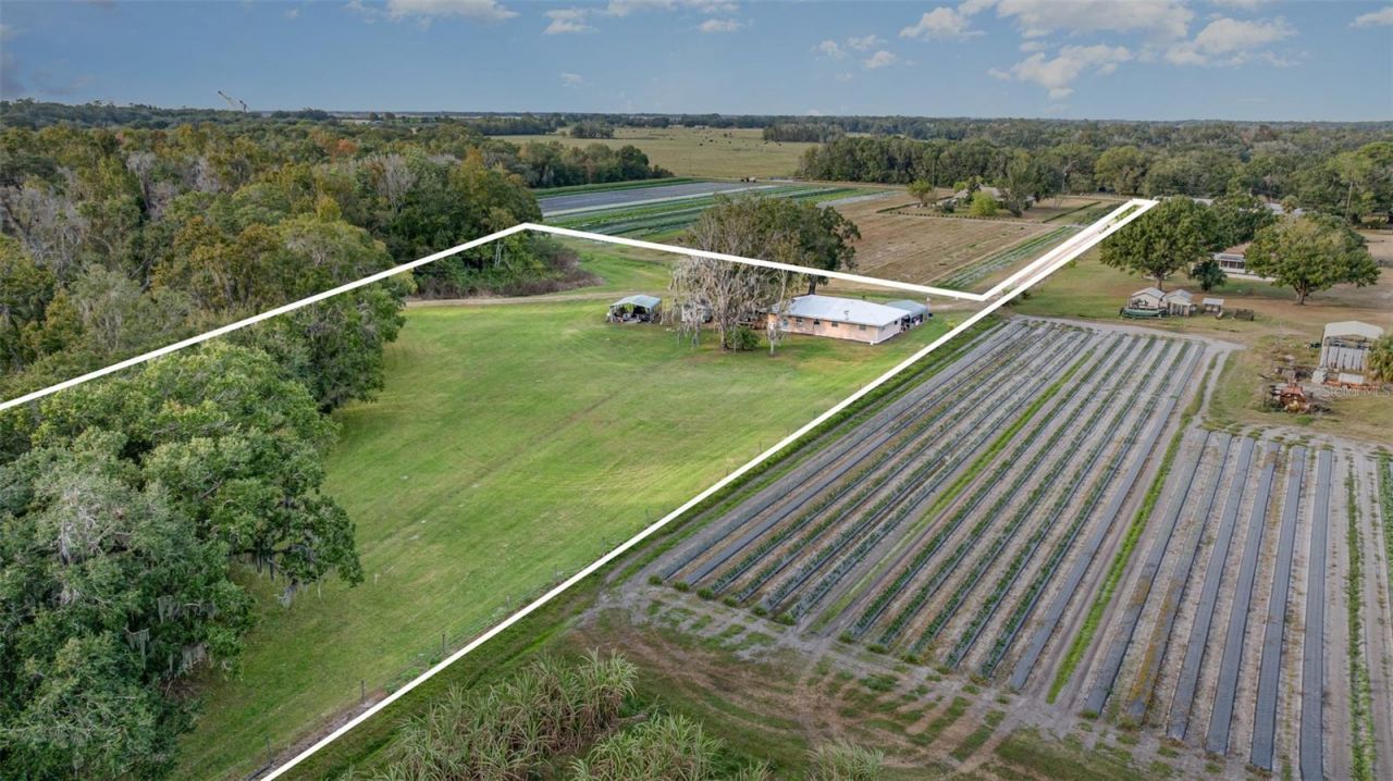 910 Bumby Lane, Wauchula, FL 33873 Photo