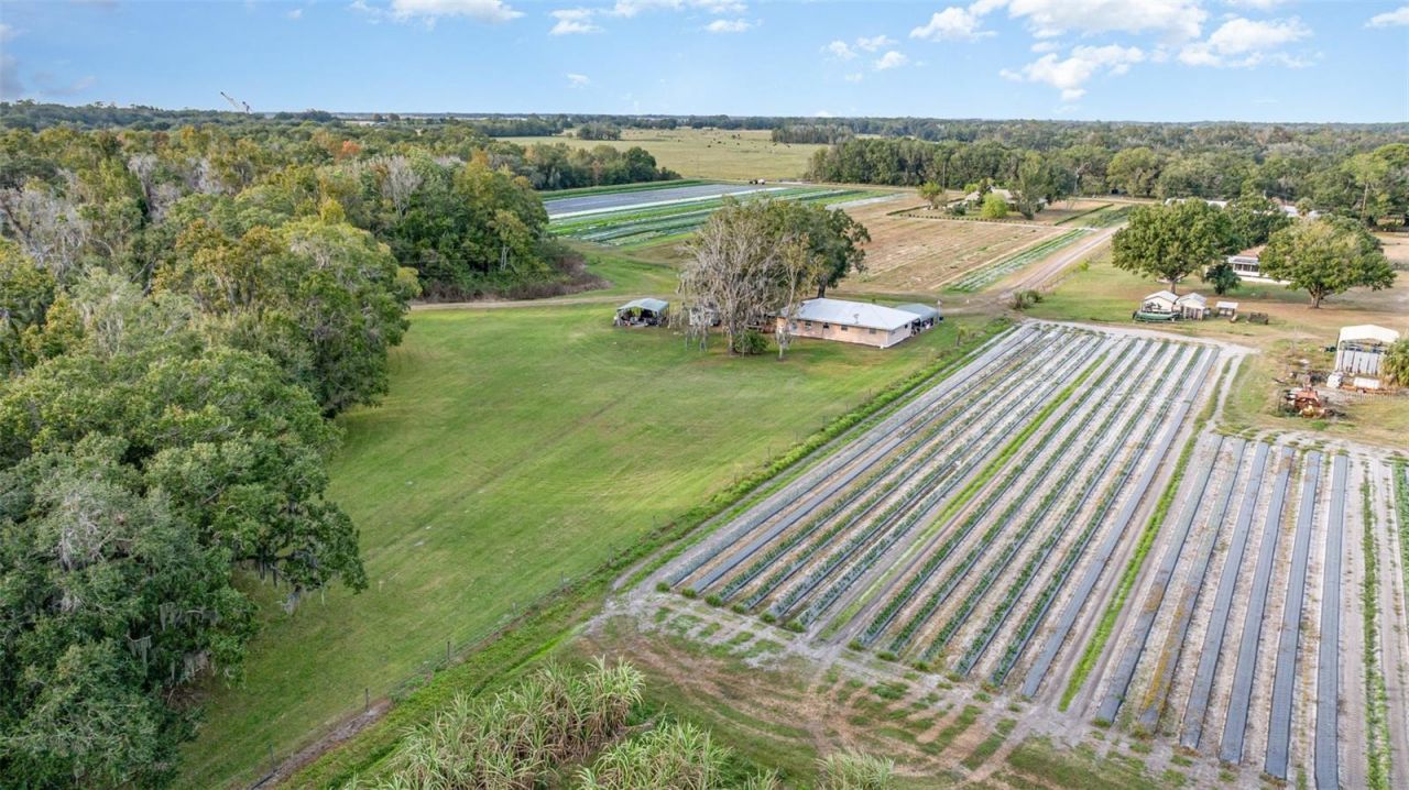 910 Bumby Lane, Wauchula, FL 33873 Photo