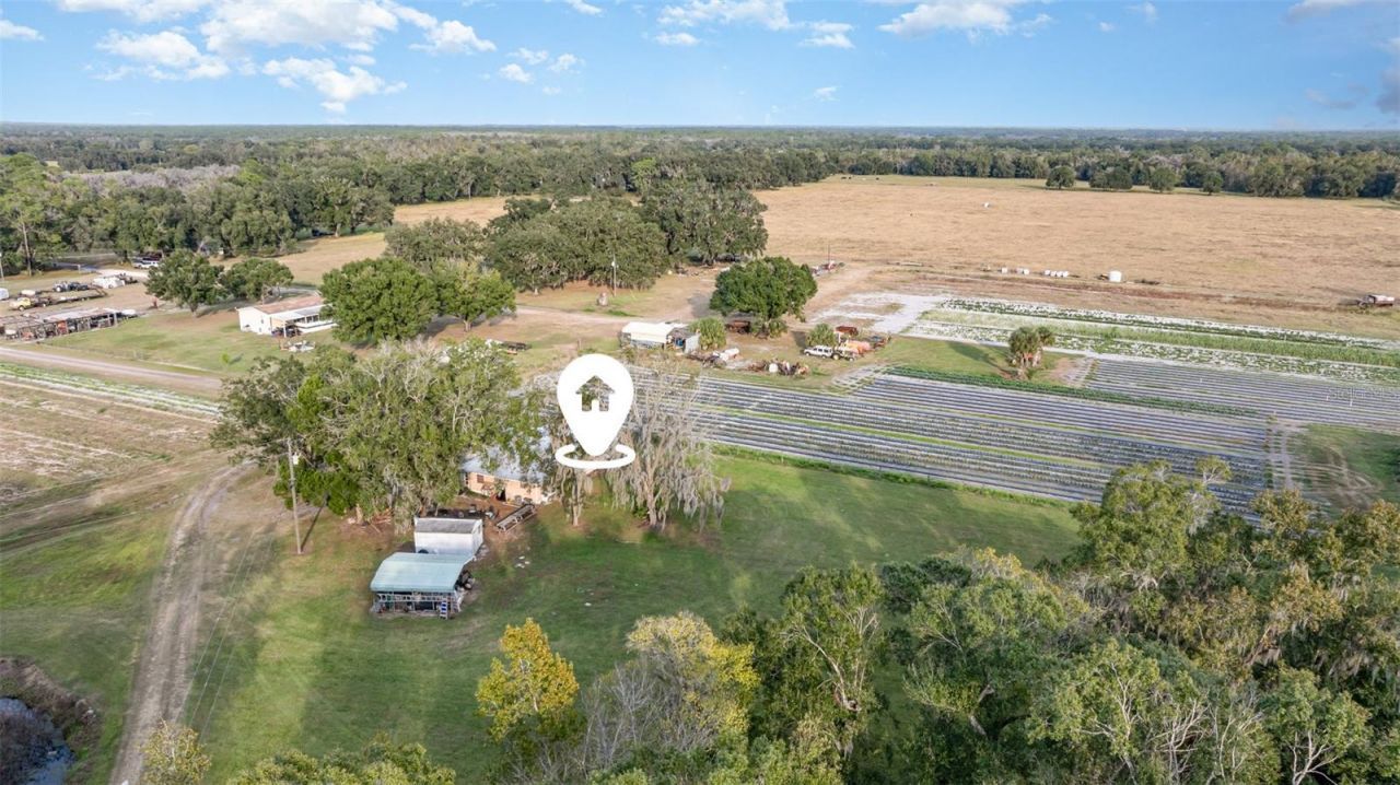 910 Bumby Lane, Wauchula, FL 33873 Photo