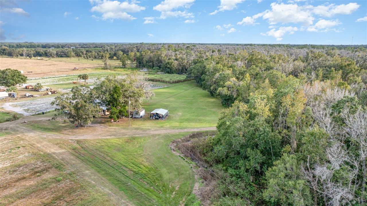 910 Bumby Lane, Wauchula, FL 33873 Photo