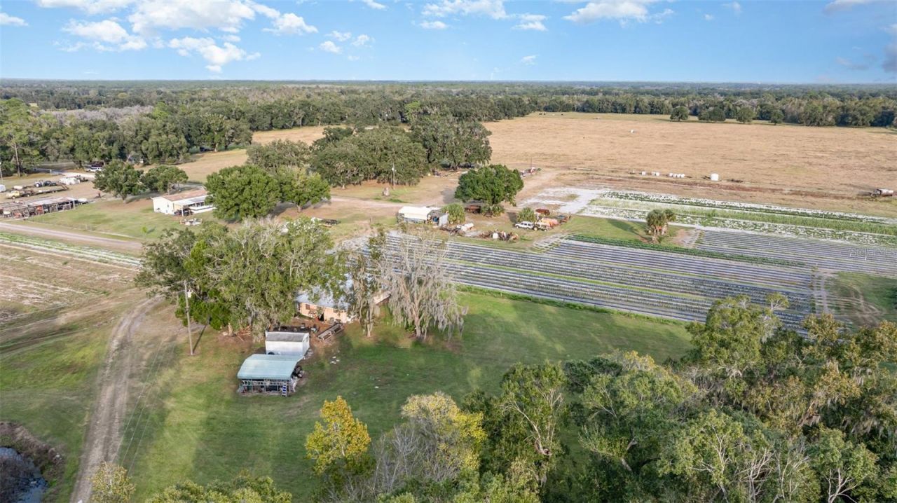 910 Bumby Lane, Wauchula, FL 33873 Photo