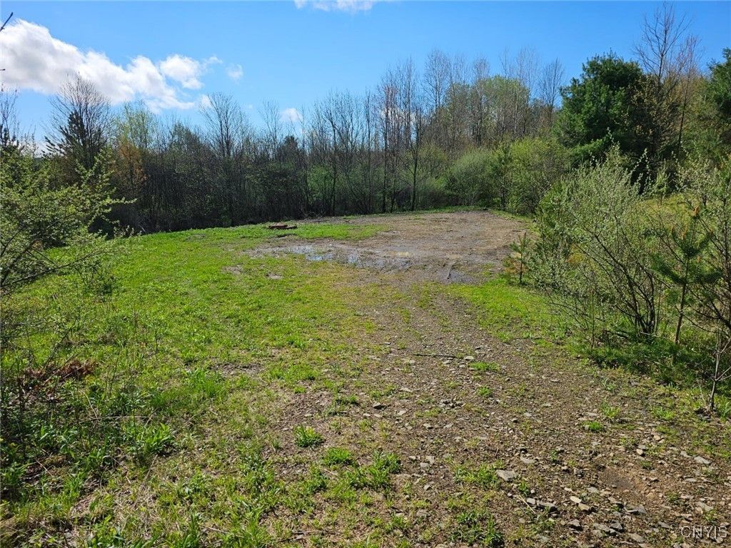 3587 Gillies Hill Road Lot 7, Canaseraga, NY 14822 Main Photo