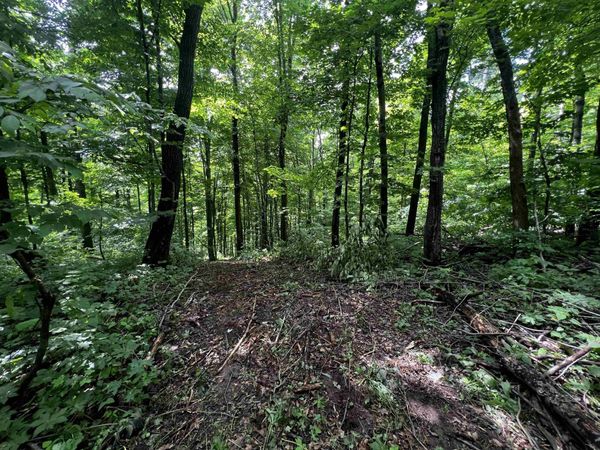 21.5 acres Monarch Avenue, Kendall, WI 54638