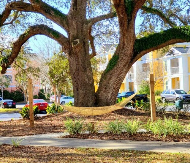 1914 Chatelain Way Photo 14