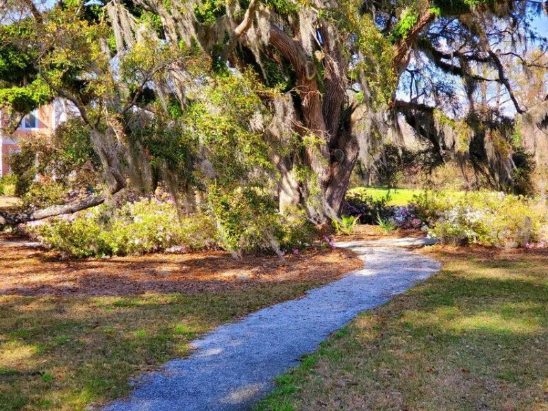 1914 Chatelain Way Photo 15